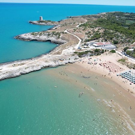 Villaggio Turistico Scialmarino 비에스테 외부 사진