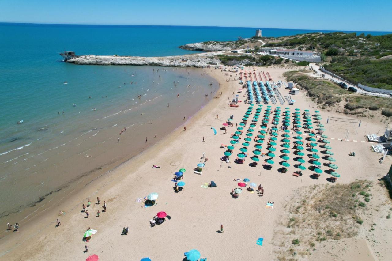 Villaggio Turistico Scialmarino 비에스테 외부 사진